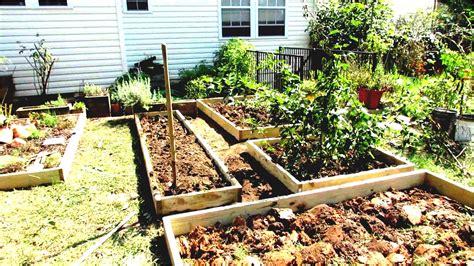 Designing An Urban Vegetable Garden Hawk Haven