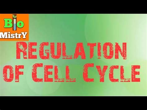 Regulation Of Cell Cycle Mitosis Part 1 CSIR NET GATE YouTube