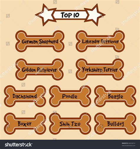 Dog Bone Treats 10 Most Popular Stock Vector (Royalty Free) 86654014 | Shutterstock