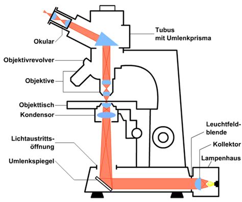 Bestandteile Eines Mikroskops