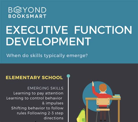 Infographic Executive Function Development