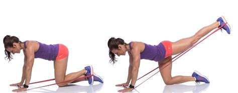 Donkey Kick Backs: Sculpt Your Glutes with this Kickback Exercise!