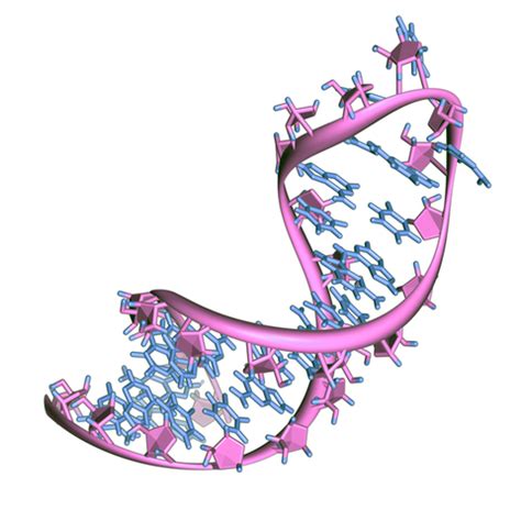 Double-stranded RNA species can be inherited and skip a generation ...