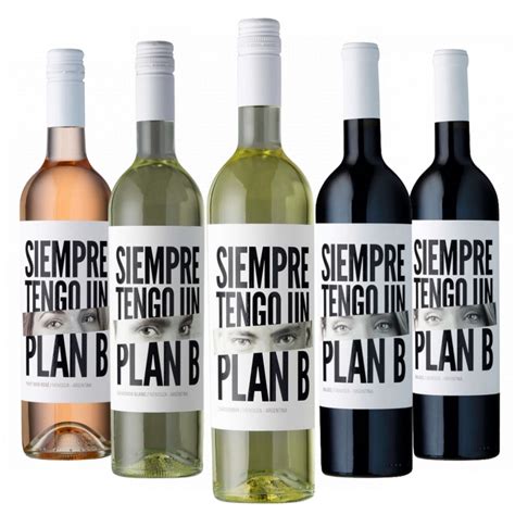 Kit De Vinhos Siempre Tengo Un Plan B 5 Unidades Casa Vinhos