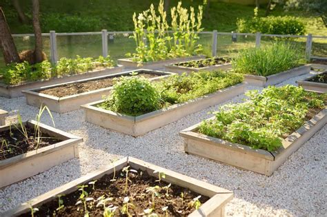 Introduction To Raised Bed Gardening