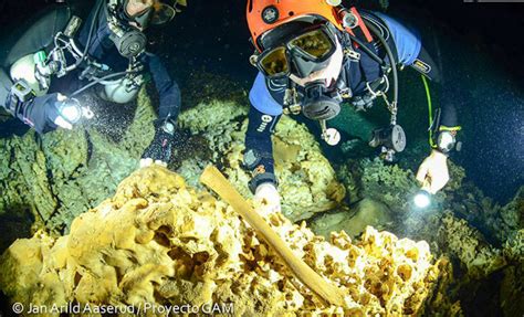 Maior Caverna Inundada Do Mundo No M Xico Revela Ossadas Da Era Do