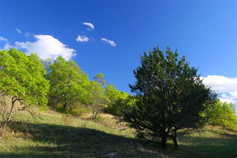 Prairies Usa The National Grasslands Of America S Heartland Hubpages