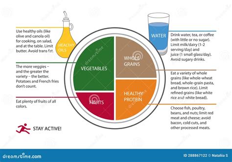 Plate Of Healthy Food Healthy Plate Vector Illustration With Captions