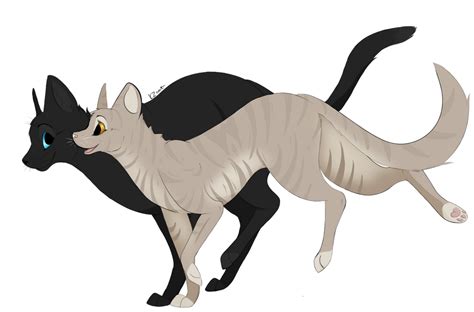 Crowfeather and Leafpool by KZcat on DeviantArt