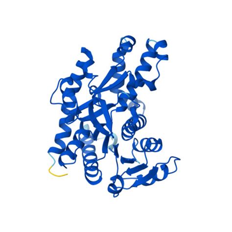 RCSB PDB AF AFP32419F1 Computed Structure Model Of Malate