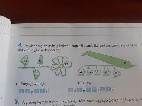 Proszę na teraz daje najj zadanie w załączniku Brainly pl