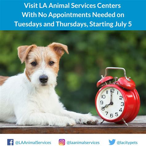 Updated Hours at LA Animal Shelters | Granada Hills South Neighborhood ...