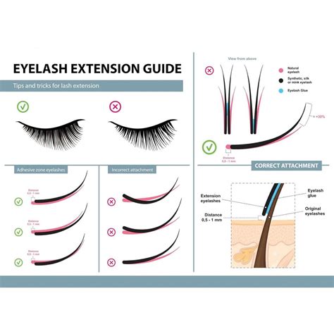 8 Best Eyelash Extension Glue Sensitive Eyes 2023 Hummingbirds Plus