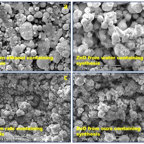 Sem Imaging Of Zno Synthesized From A Zinc Powder And Baking Nh3 In Download Scientific