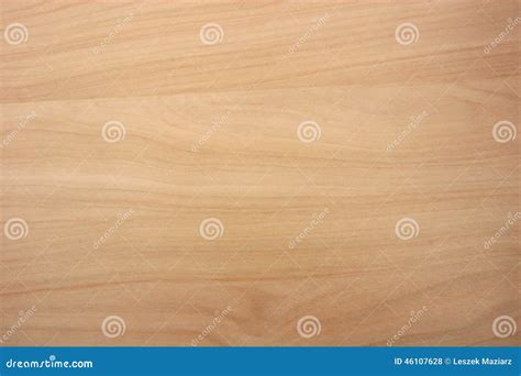 Birch Wood Grain Texture