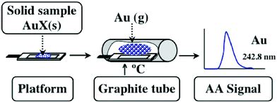 Solid Sampling Graphite Furnace Atomic Absorption Spectrometry For The