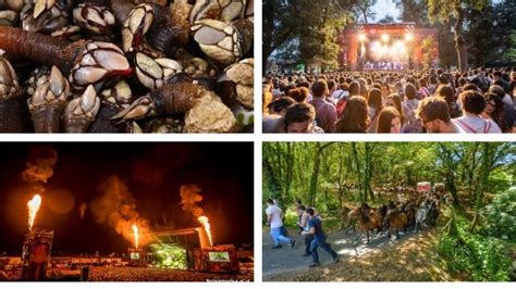 Las Fiestas Que No Te Puedes Perder Este Fin De Semana En Galicia