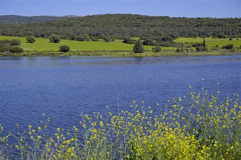 Embalses De Catalunya Hoy De Mayo Cu L Es El Nivel De Los Pantanos