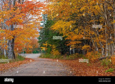 Fall Foliage Color Along The Cabot Trail Cape Brreton Island Nova