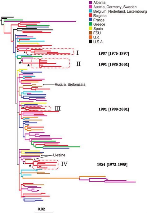 Maximum Likelihood Phylogenetic Analysis Of Hiv 1b Pol Sequences The