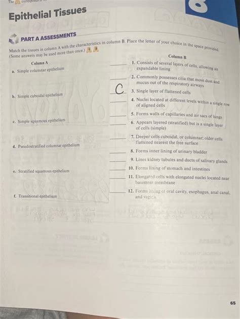 Solved The Correspo Epithelial Tissues PART A ASSESSMENTS Chegg