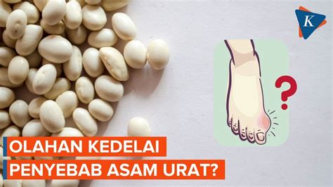 Benarkah Makan Tahu Dan Tempe Dapat Sebabkan Asam Urat Youtube