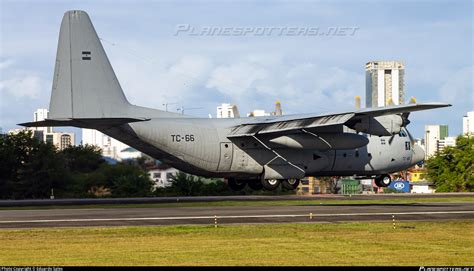 TC 66 Fuerza Aérea Argentina Lockheed C 130H 30 Hercules L 382 Photo