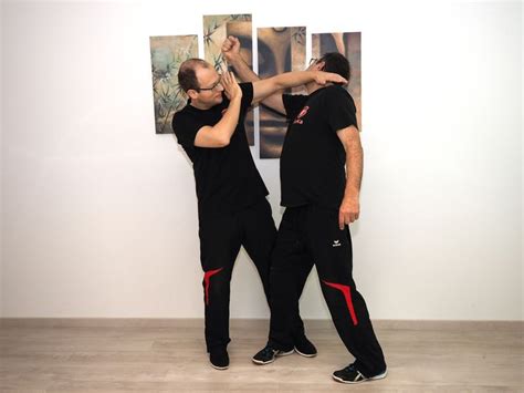 Gratis Onlinekurs Wing Chun Ein Überblick über Das System