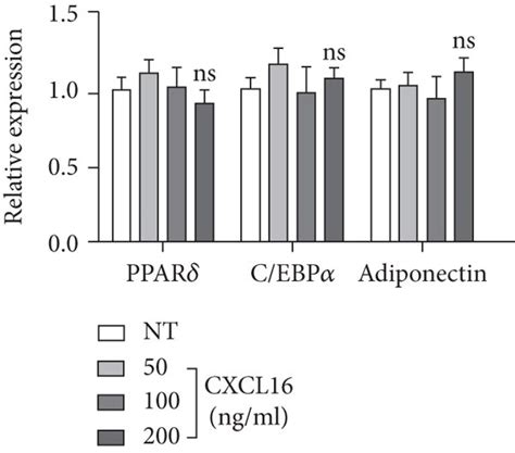 Regulation Of Adipogenic Or Osteogenic Differentiation With Additional