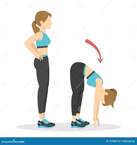 Bend Forward Exercise. Woman Doing Fitness in the Gym Stock Vector ...