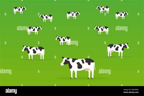 Group cows cartoon hi-res stock photography and images - Alamy