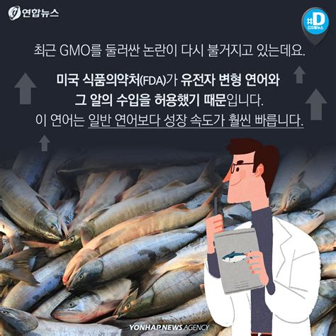 미국 유전자변형 연어 수입 허가다시 불거진 Gmo 논란 네이버 포스트