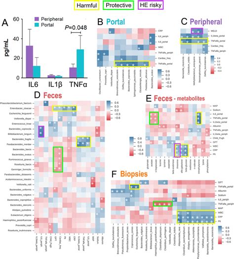 Cross Correlation Of Metagenomics Metabolomics Datasets With Clinical Download Scientific