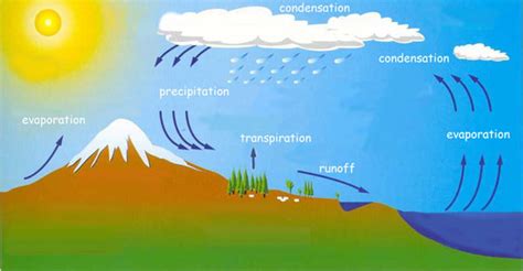 k12 - Water Cycle