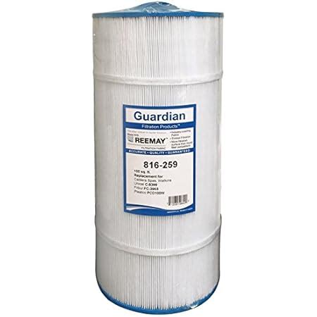 Amazon Guardian Filtration Products Spa Filter