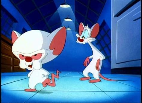 Pinky And The Brain Pinky And The Brain Photo 7398821 Fanpop