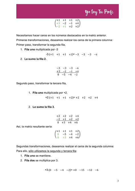 Problemas De Sistemas De Ecuaciones Resueltos Por El Método De Gauss