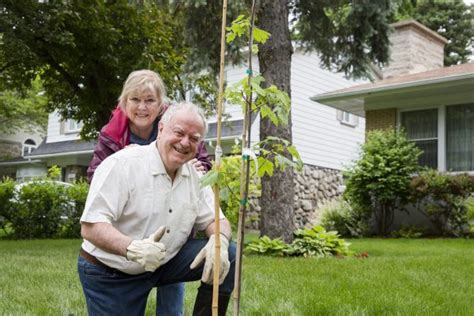 Accueil Un Arbre Pour Mon Quartier