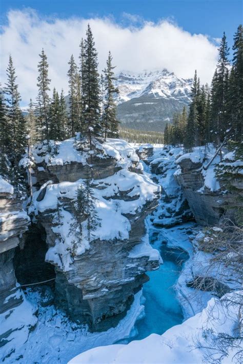 Things to Do in Jasper National Park in Winter – Bearfoot Theory