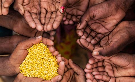 Zero Hunger (SDG 2) Means Starvation for All?! | Katy Christian Magazine