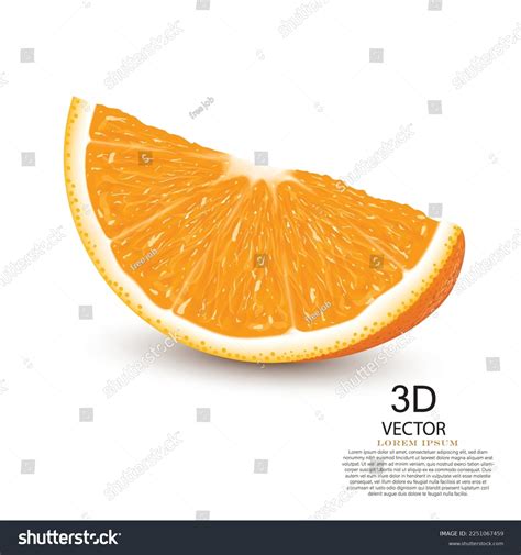 Vector Illustration Realistic Fresh Orange Slice Stock Vector Royalty