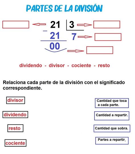 Partes De La Divisi N Exercise Actividades De Clasificaci N Partes