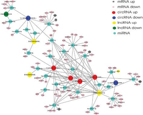 Figure From High Throughput Sequencing Reveals Differentially