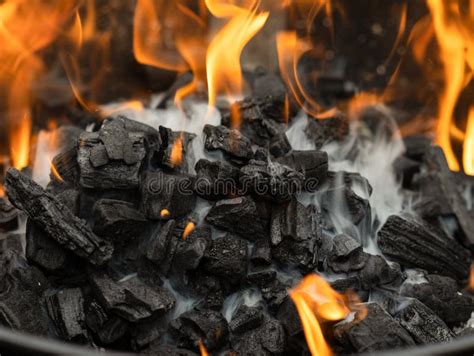 A Queimadura De Queimadura Da Lenha Do Carv O Vegetal Faz A Temperatura