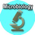 Microbiology Science Fair Ideas