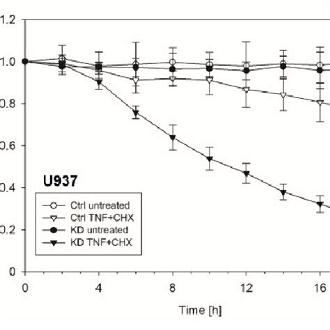 Y Box Binding Protein Yb Is Essential For Tumor Necrosis Factor