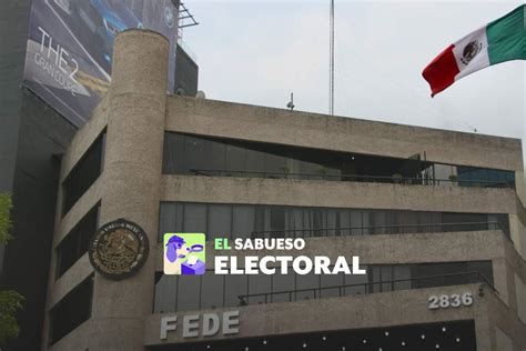 ¿qué Es Un Delito Electoral Y Cómo Puedo Denunciarlo