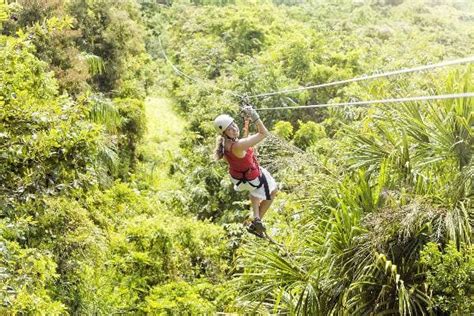 Zip Lining Tours In Jamaica Bahia Principe Hotels