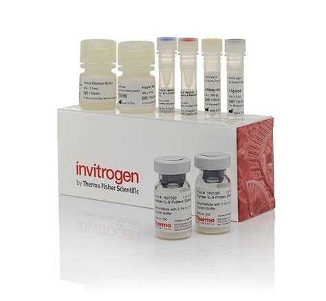 Invitrogen IL 1 Beta Human ProQuantum Immunoassay Kit 96 Tests Protein