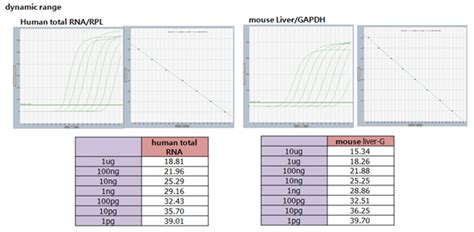 AccuPower RocketScript RT Master Mix RNase H Minus 2X 1ml